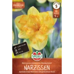 Narzisse Blazing Starlet (Narcissus pseudonarcissus) - Premium Spleißkronige