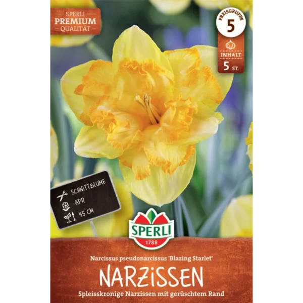 Narzisse Blazing Starlet (Narcissus pseudonarcissus) - Premium Spleißkronige