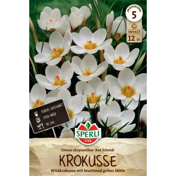 Wildkrokus 'Ard Schenk' (Crocus chrysanthus) - Mehrfarbige Blütenpracht für den Garten