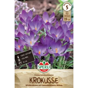 Wildkrokus (Crocus tommasinianus) - Dalmatinerkrokus für den Garten