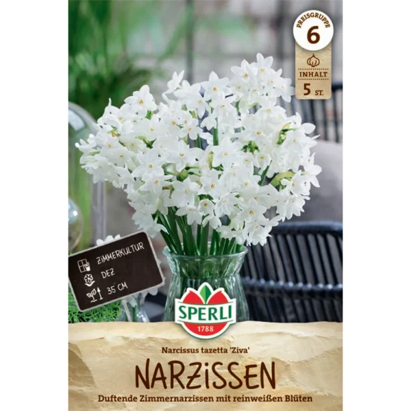 Tazetta-Narzisse Ziva (Narcissus tazetta)
