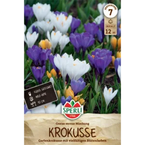 Gartenkrokus Mischung (Crocus vernus) - Farbenfrohe Blumenzwiebeln für den Frühling