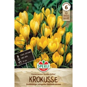 Gartenkrokus Großer Gelber (Crocus vernus) - Strahlende Frühlingsblüten