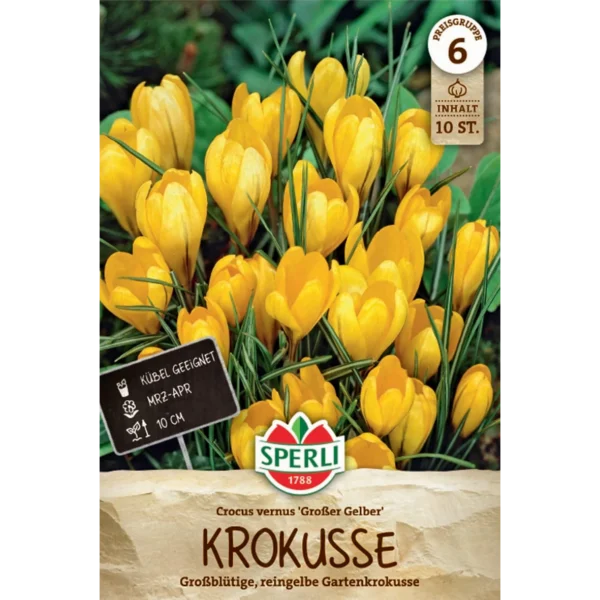 Gartenkrokus Großer Gelber (Crocus vernus) - Strahlende Frühlingsblüten