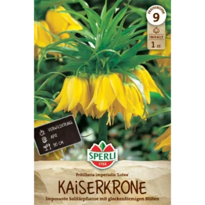 Kaiserkrone Lutea (Fritillaria imperialis)