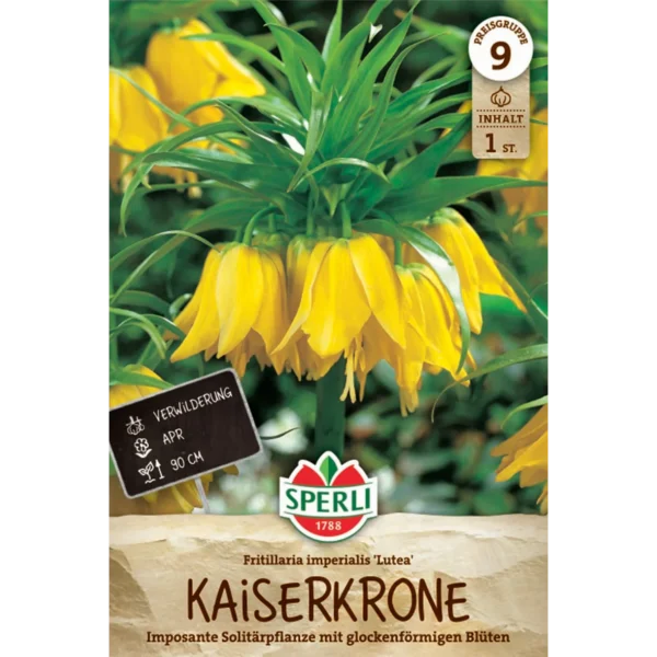 Kaiserkrone Lutea (Fritillaria imperialis)
