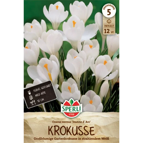 Gartenkrokus Jeanne d'Arc (Crocus vernus) - Großblumiger Frühlingsbote in Weiß