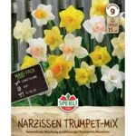 Maxi Trompeten-Narzissen Mischung (Narcissus pseudonarcissus)