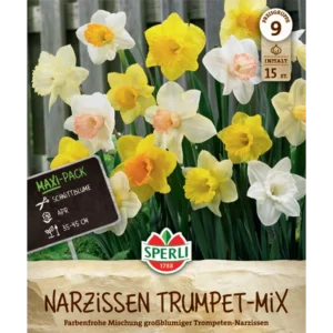 Maxi Trompeten-Narzissen Mischung (Narcissus pseudonarcissus)