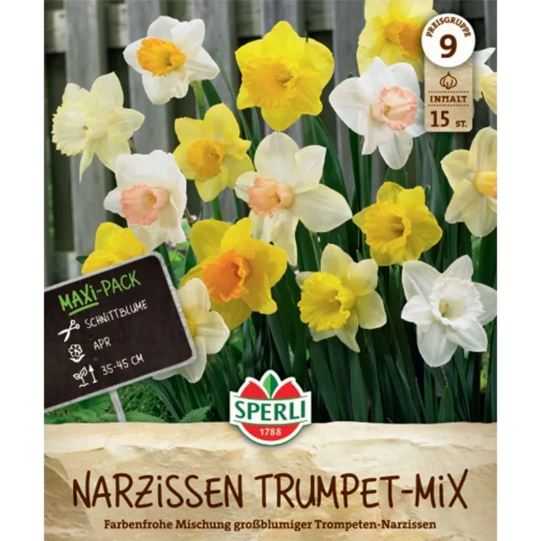 Maxi Trompeten-Narzissen Mischung (Narcissus pseudonarcissus)