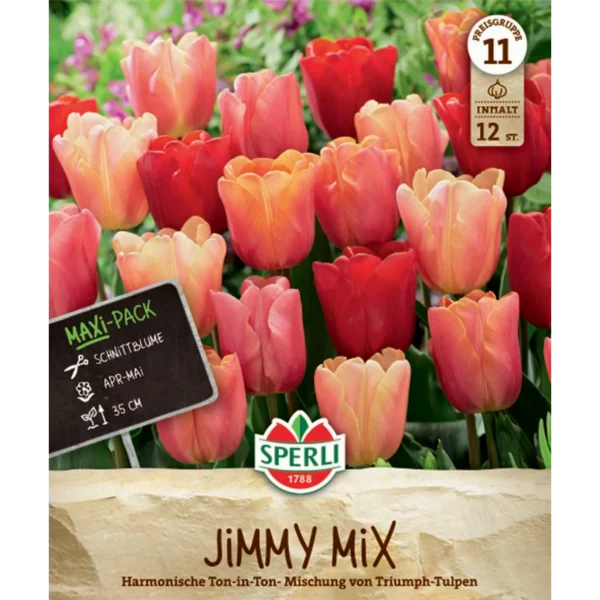 Maxi Triumph-Tulpen Jimmy Mix (Tulipa hybrids)