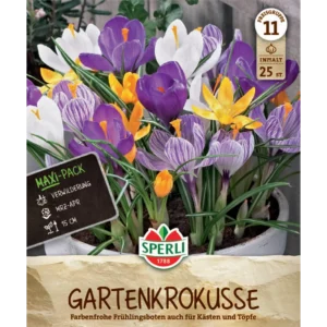 Maxi Gartenkrokus Mischung (Crocus vernus)