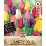 Maxi Tulpen Landhaus Mischung (Tulipa hybrids)
