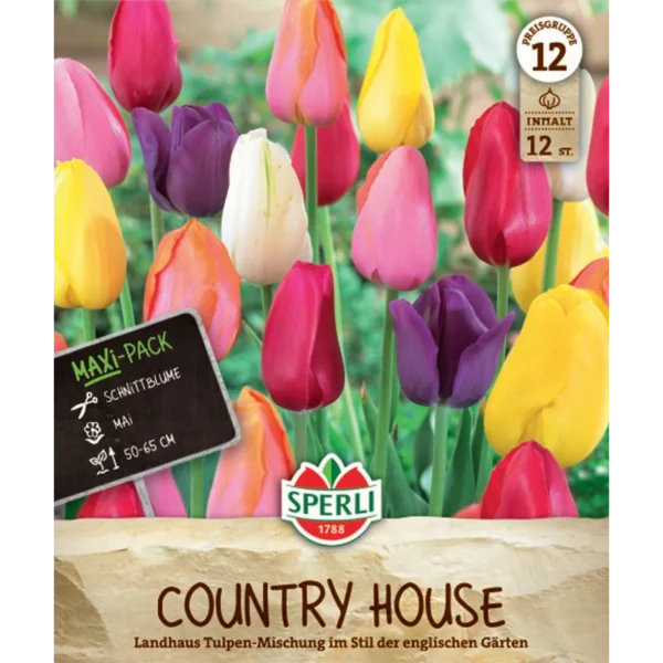 Maxi Tulpen Landhaus Mischung (Tulipa hybrids)