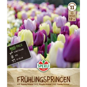 Tulpen-Mischung Frühlingsgarten (Tulipa hybrids) - Frühlings-Princen