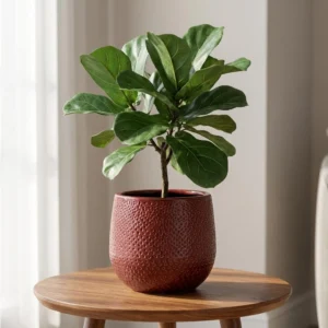 Blumentopf Gabriel rund - Keramik Übertopf Ø14 cm